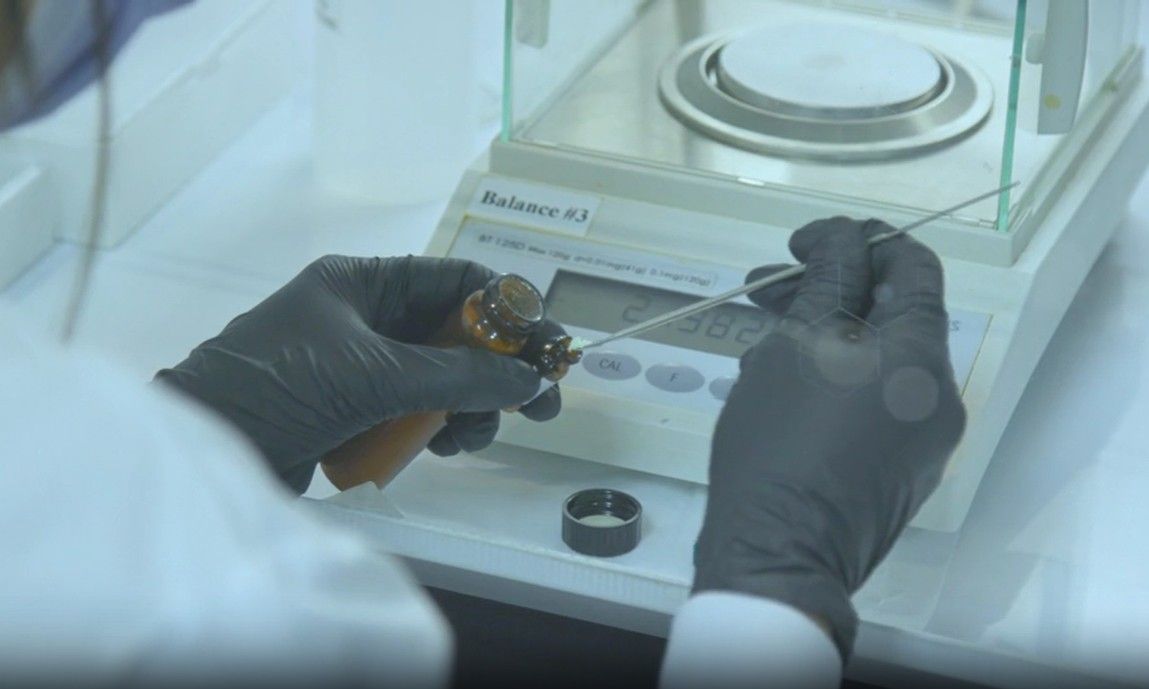 Conference audience